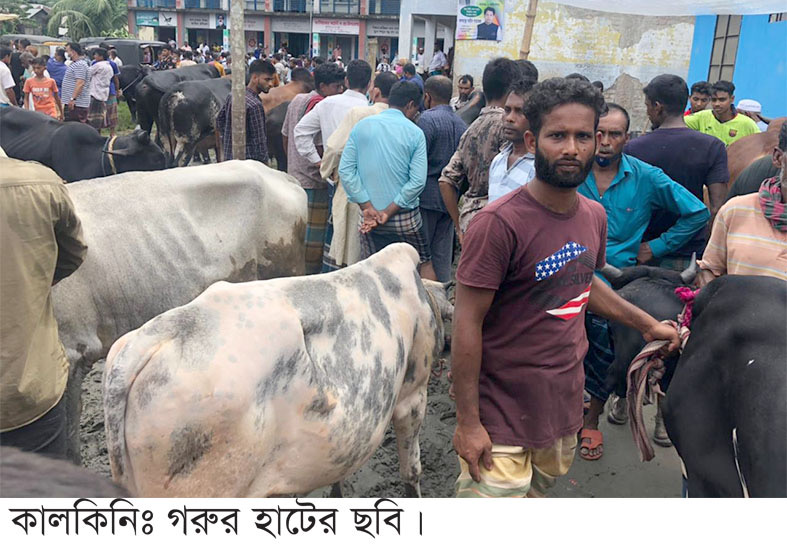 স্বাস্থ্যবিধির বালাই নেই কালকিনির পশুর হাটে।