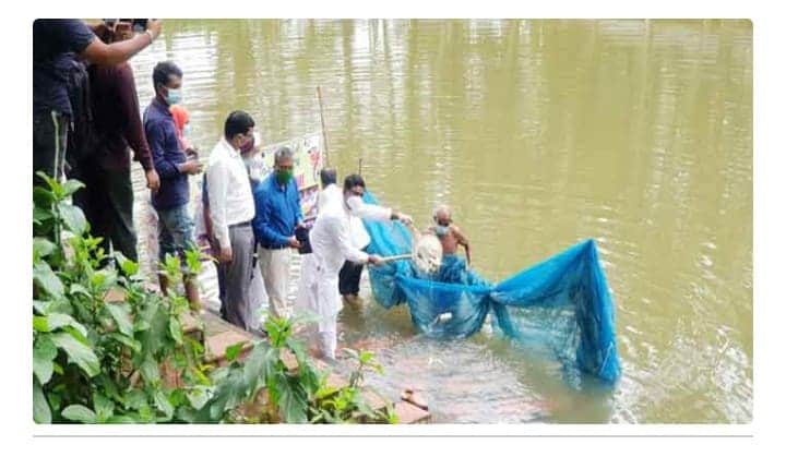 মৎস্য সপ্তাহে শার্শায় মাছের পোনা অবমুক্তকরণ।