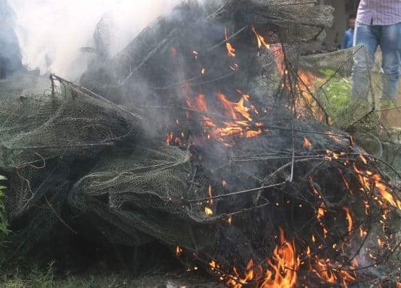 কাশিয়ানীতে অবৈধ্য ম্যাজিক জাল পুড়িয়ে দিলেন মৎস্য কর্মকর্তা।