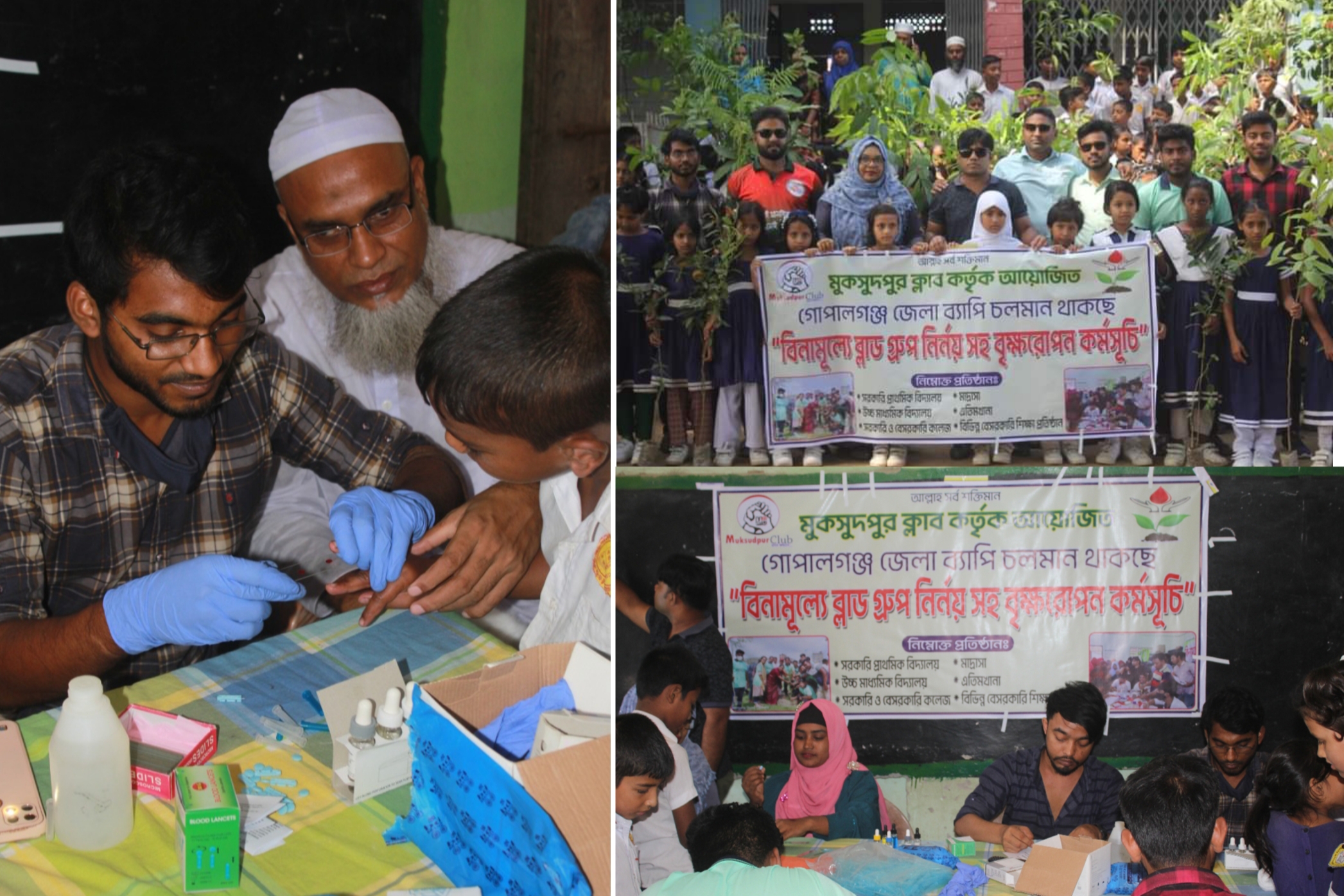 মুকসুদপুর ক্লাবের উদ্যোগে বিনামূল্যে ৪'শতাধিক শিক্ষার্থীর রক্তের গ্রুপ নির্ণয় ও গাছের চারা বিতরণ অনুষ্ঠান।