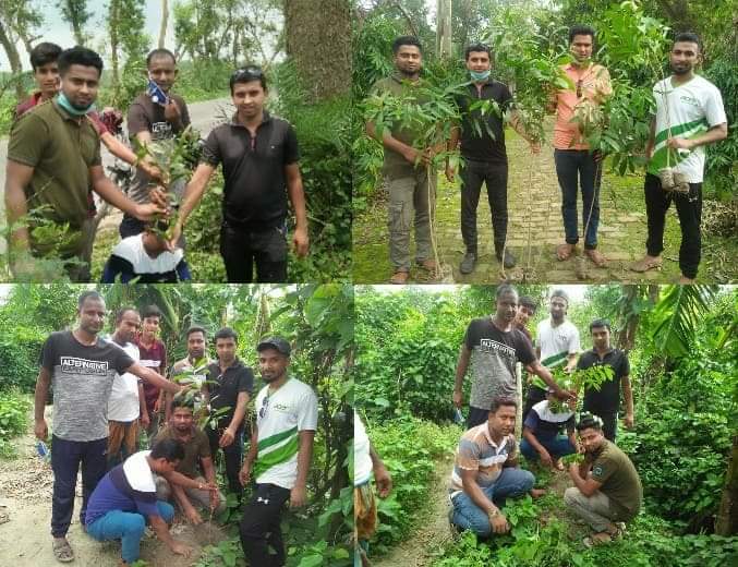 কোটচাঁদপুরে শহীদ প্রেসিডেন্ট জিয়াউর রহমানের ৩৯ তম শাহাদাত বার্ষিকী উপলক্ষে বৃক্ষ রোপণ।