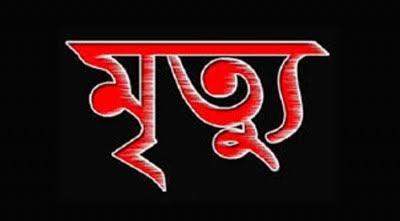 বড় ভাইয়ের মৃত্যুর খবরে ছোট ভাইয়ের মৃত্যু