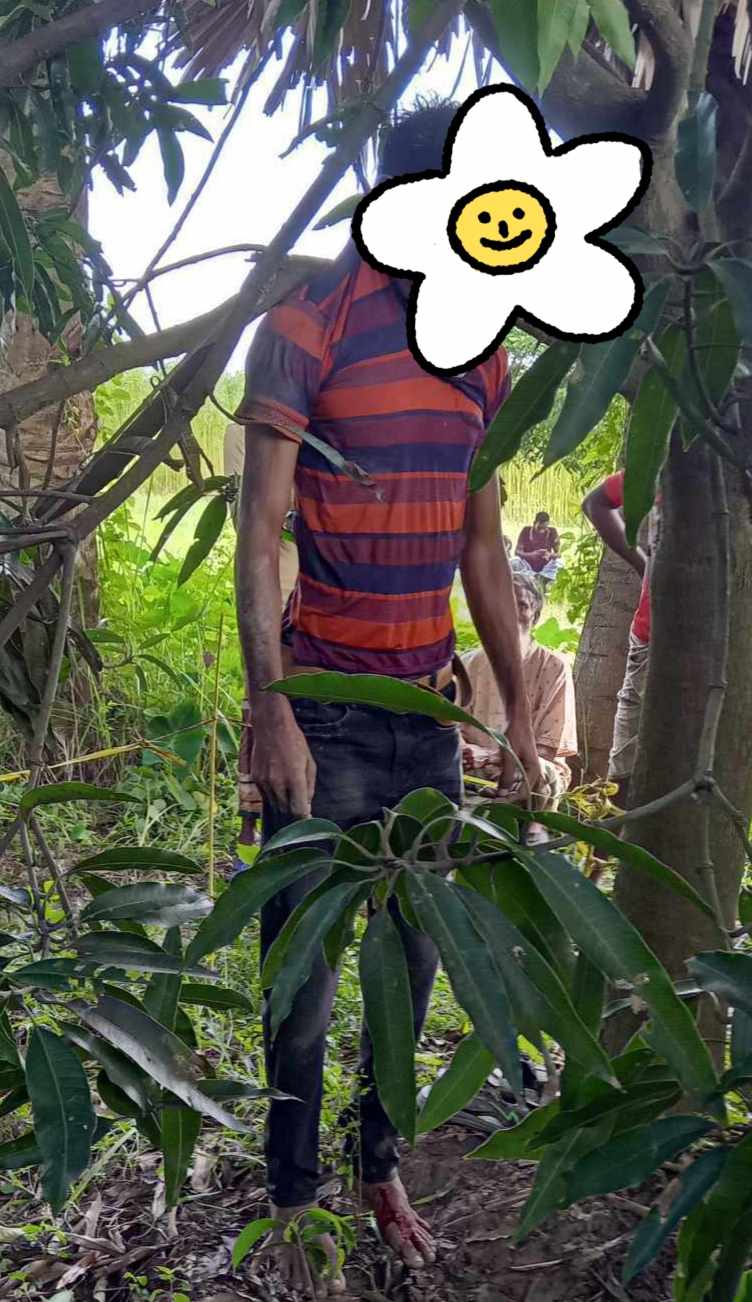 লালপুরে আম গাছ থেকে যুবকের ঝুলন্ত লাশ উদ্ধার