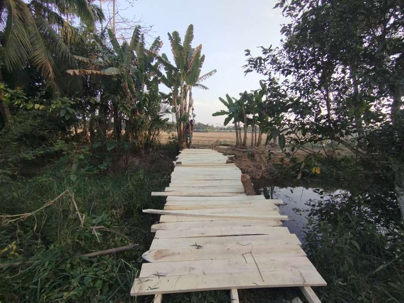 আমতলিতে স্বপ্ন ছোঁয়া স্বেচ্ছাসেবী যুব সংগঠনের উদ্যোগে কাঠের সেতু নির্মাণ