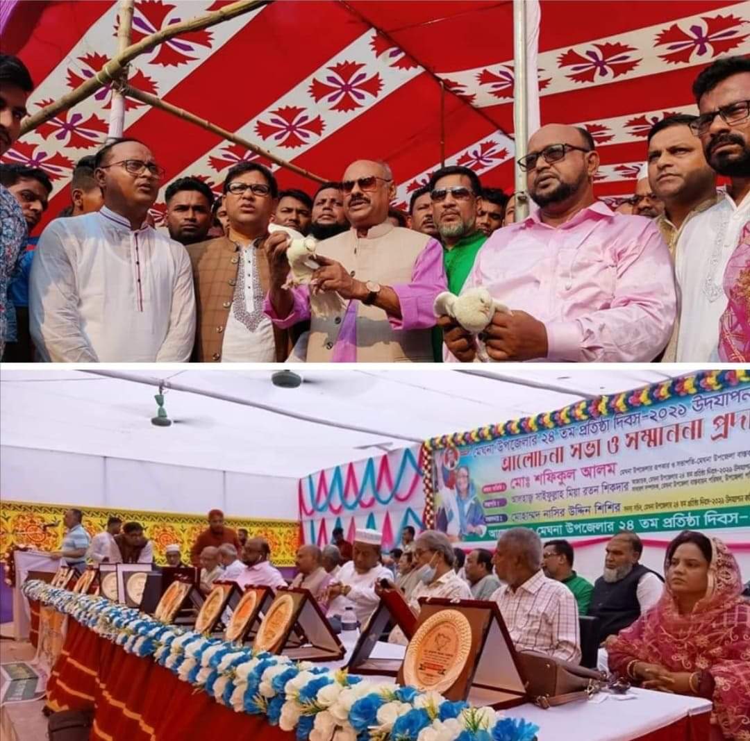 মেঘনা উপজেলার ২৪ তম প্রতিষ্ঠা দিবসের আলোচনা সভা অনুষ্ঠিত