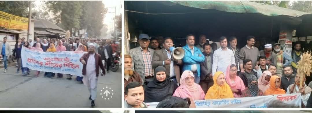 মানিকগঞ্জ -১ (দৌলতপুর,ঘিওর, সিবালয়) আসনের ধানের শীর্ষের প্রচারনা মিছিল অনুষ্ঠিত।