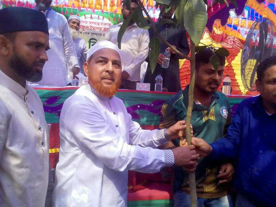 সলঙ্গায় গাছের চারা বিতরণ।