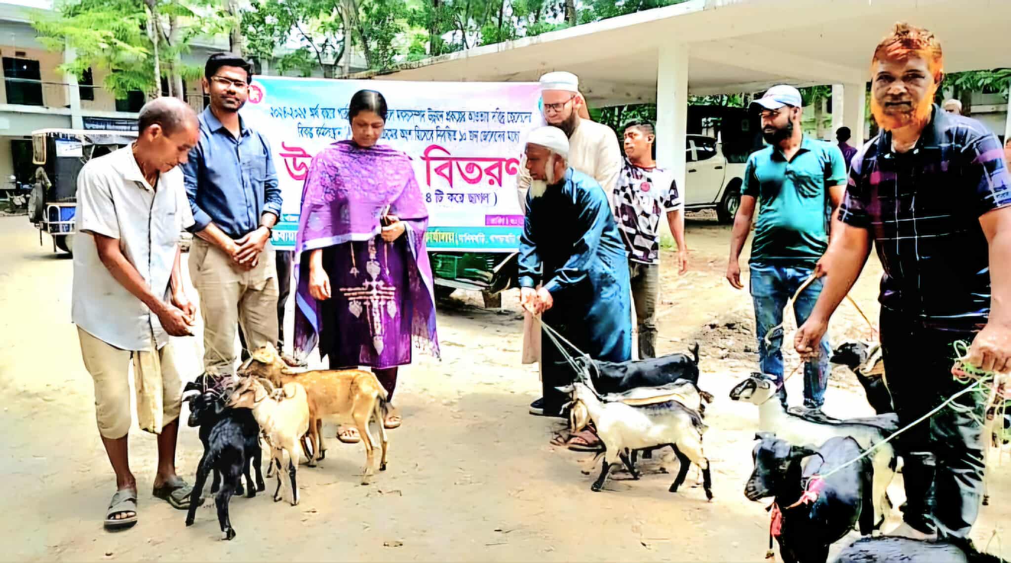 মৎস্য সম্পদ উন্নয়ন প্রকল্পের আওতায় মানিকছড়িতে দরিদ্র জেলের মাঝে ছাগল বিতরণ।