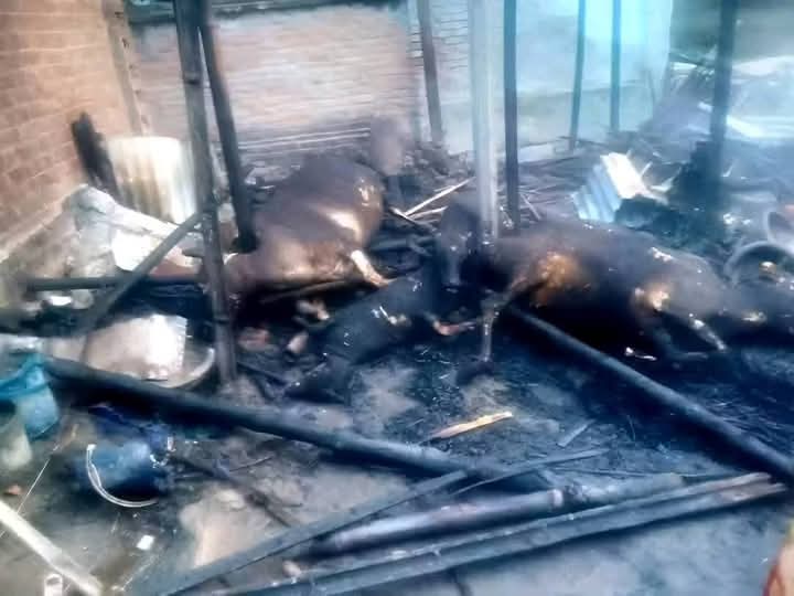 ঠাকুরগাঁওয়ে হরিপুর, ১৪৪ ধারা জারি ও অতিরিক্ত আইনশৃঙ্খলা বাহিনী মোতায়েন।
