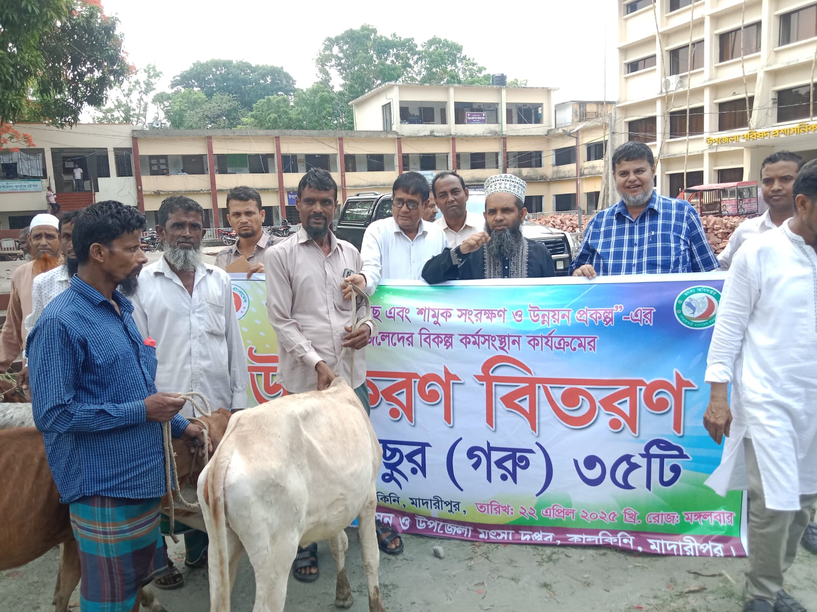 কালকিনিতে বিকল্প কর্মস্থানের জন্য জেলেদের মাঝে বকনা বাছুর বিতরণ
