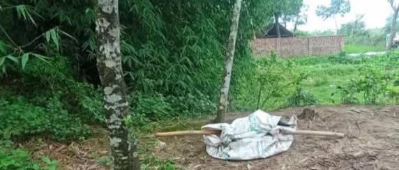 ঠাকুরগাঁওয়ে ছেলের চোখের সামনেই ১ বৃদ্ধ বাবা  মর্মান্তিক মৃত্যু হয়েছে।