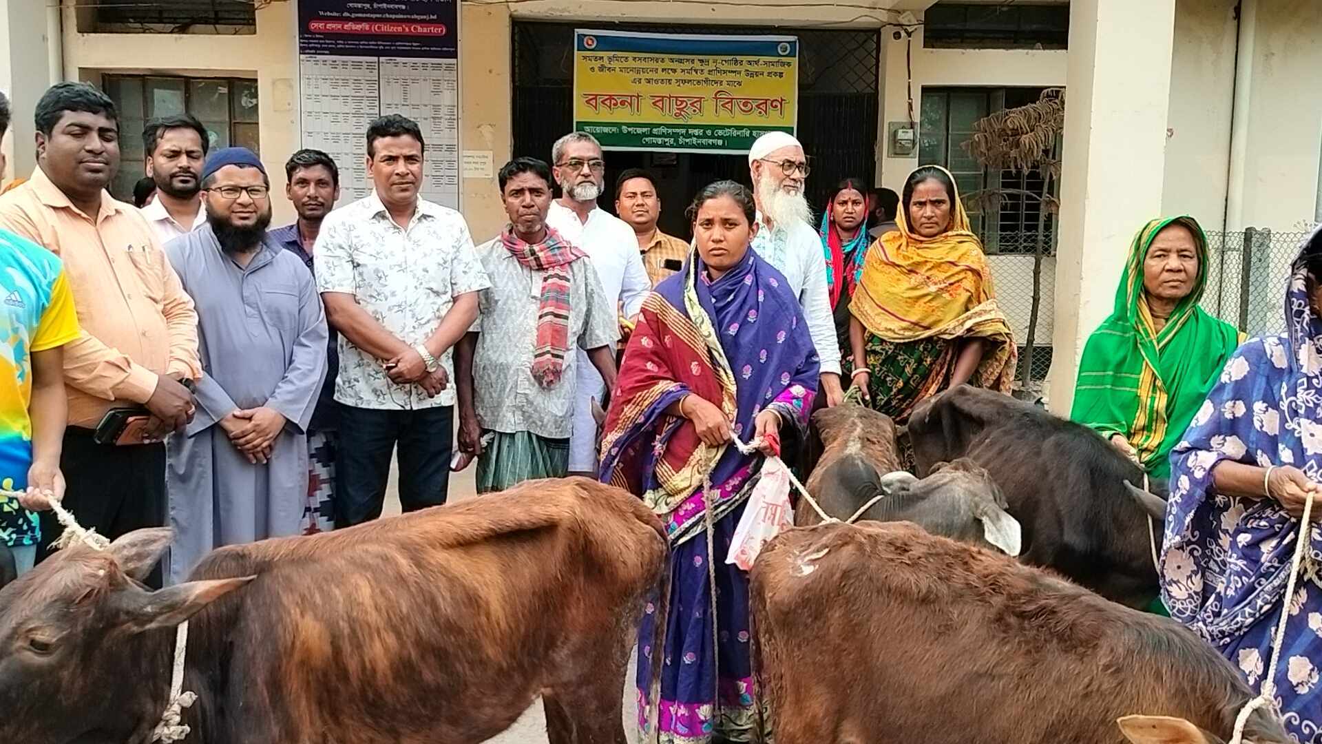 গোমস্তাপুরে ক্ষুদ্র নৃ-গোষ্ঠীর মাঝে বকনা বাছুর বিতরণ করা হয়েছে।
