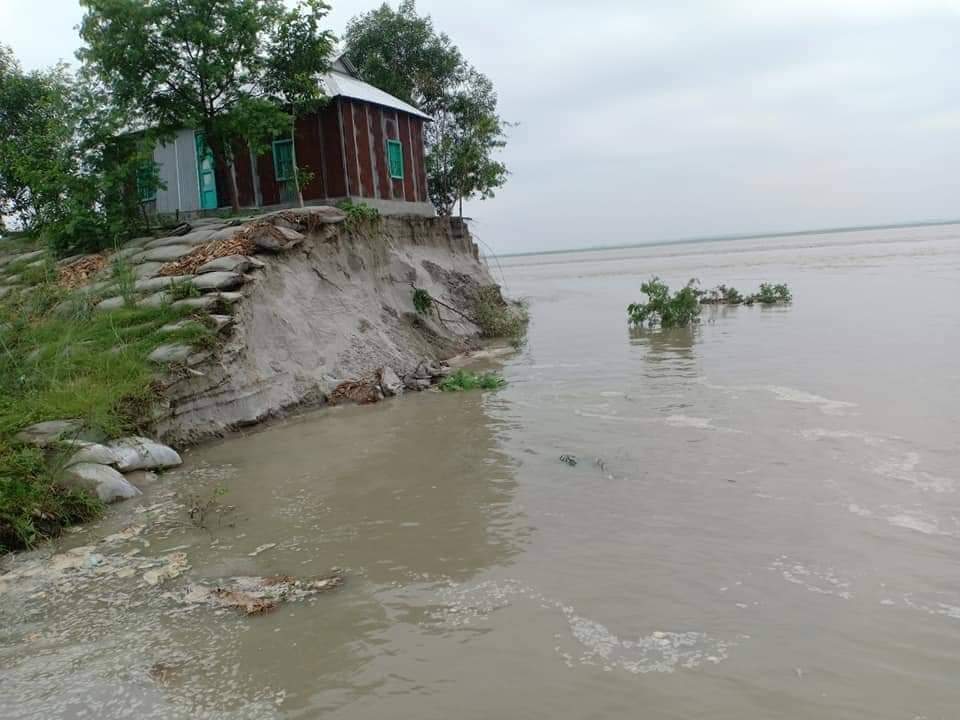 কাজিপুরে যমুনার ভাঙনে বিলীন হচ্ছে জনপদ