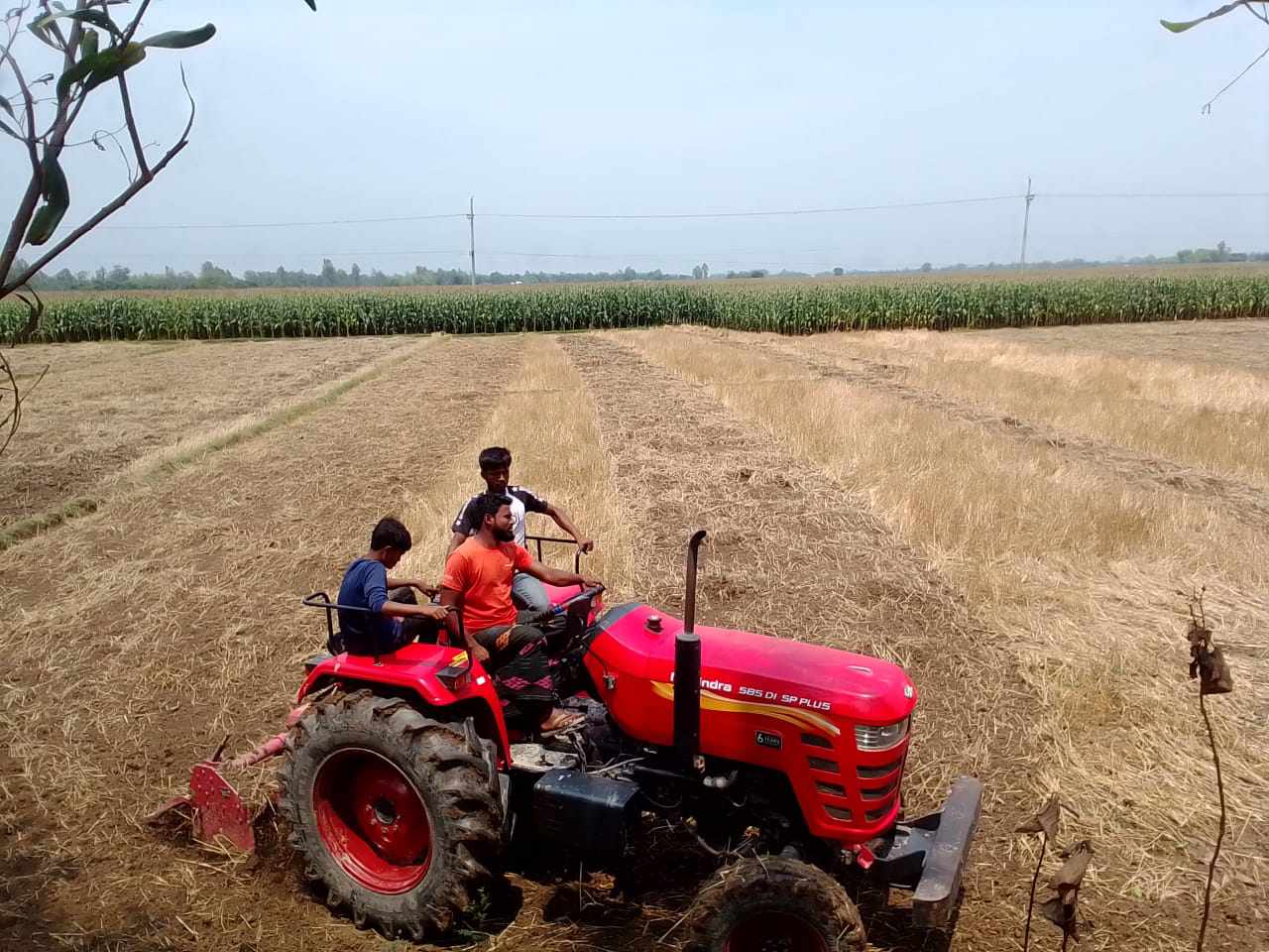 হতদরিদ্র পরিবারের হক পূরণ ১ একর ৭৬ শতক বাপ-দাদার সম্পত্তি  পেলো মমতাজ গং।