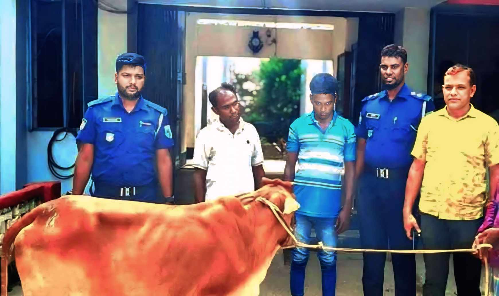 দিনাজপুরে বুদ্ধি খাটিয়ে দুই গরু চোরকে আটক।।