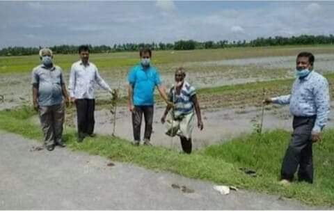 সোনাগাজীর আমিরাবাদ  ইউনিয়নের বৃক্ষরোপণ উদ্বোধন করলেন চেয়ারম্যান জহিরুল আলম জহির।